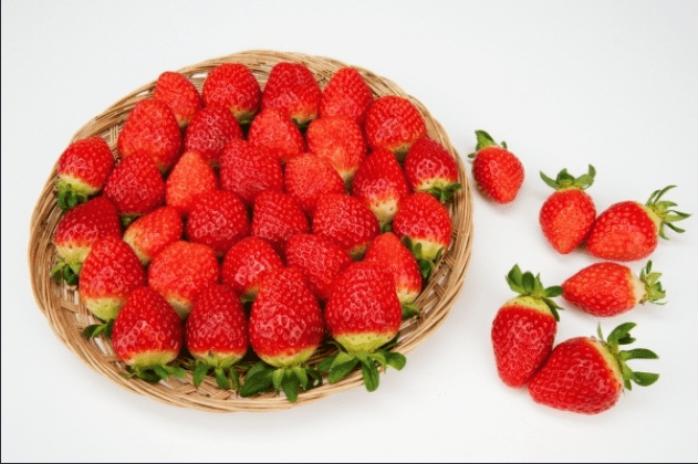 고지혈증-예방-음식-딸기