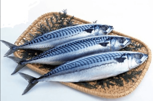 고지혈증-예방-음식-등푸른생선