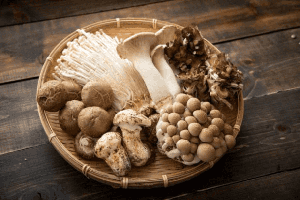 면역력 높이는 음식(버섯)
