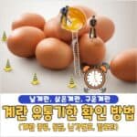 계란 유통기한