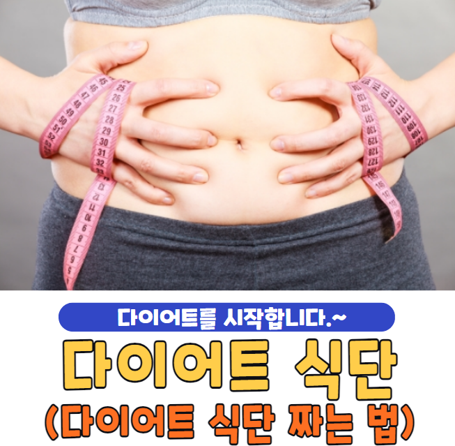 다이어트 식단 추천 Top5 및 짜는 법