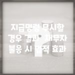 지급명령 무시할 경우 결과 | 채무자 불응 시 법적 효과