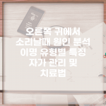 오른쪽 귀에서 소리날때 원인 분석 | 이명 유형별 특징 | 자가 관리 및 치료법