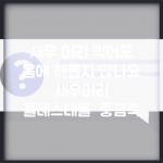 새우 머리 먹어도 몸에 해롭지 않나요 | 새우머리 | 콜레스테롤 | 중금속