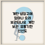 계란 냉장고에 얼마나 오래 보관되나요 | 계란 보관 | 유통기한 | 신선도