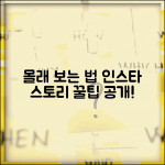 인스타그램 몰래보기 | 상대방 모르게 스토리 피드 보는 꿀팁