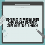 급식카드 잔액조회 방법 | 아동 청소년 급식카드 잔액확인 완벽가이드