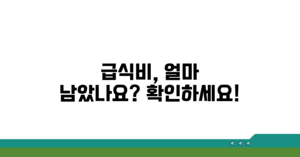 나의 급식비, 얼마 남았을까?