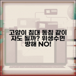 고양이가 침대에서 자겠다는데 같이 자도 되나요 | 고양이 동침 | 위생 | 수면방해