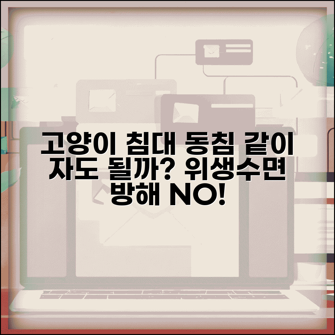 고양이가 침대에서 자겠다는데 같이 자도 되나요 | 고양이 동침 | 위생 | 수면방해