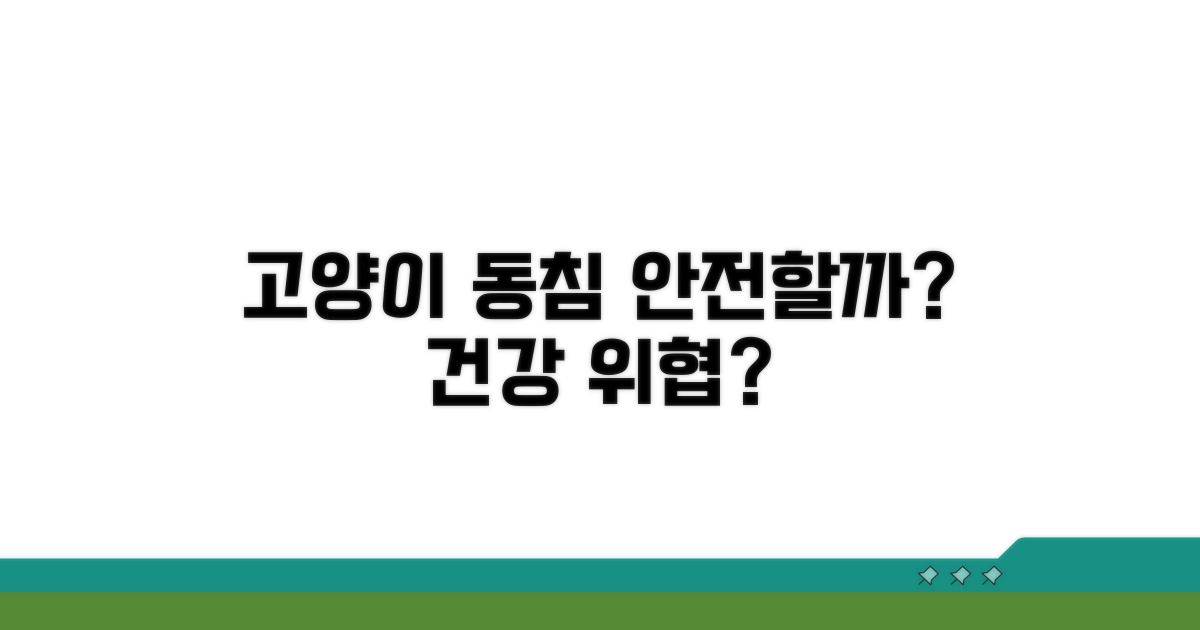 고양이 동침, 정말 괜찮을까?