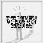 동백전 가맹점 찾기 | 부산 전지역 사용처 검색 완벽 활용법