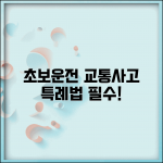 교통사고처리특례법 위반 초보운전 필수 법률 상식