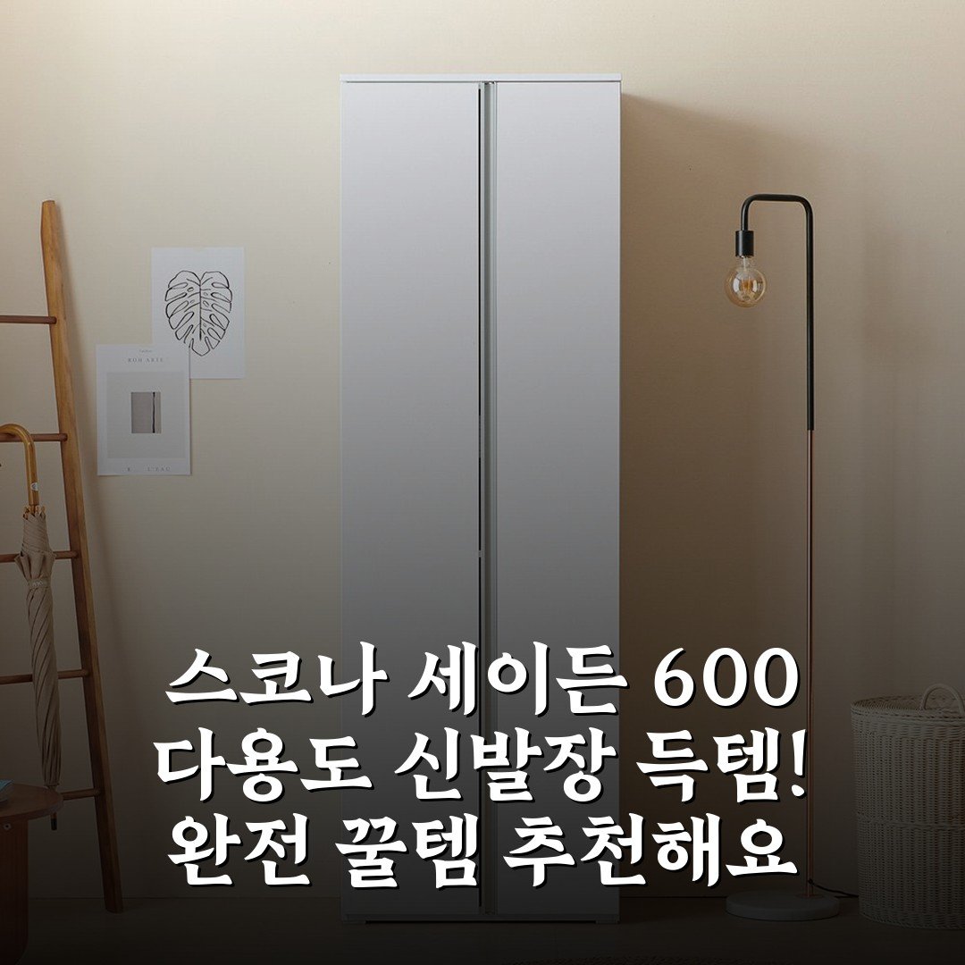 스코나 세이든 600 다용도 신발장 득템! 완전 꿀템 추천해요