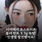 디어메이 로스트리본 블러 틴트 3.3g 득템! 인생템 발견했어요!
